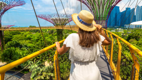 Withlocals Your Way! - Singapore Half Day Trip by Car in Singapore - AdobeStock_550958594