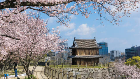 Highlights & Hidden Gems of Fukuoka in Fukuoka - AdobeStock_291881554