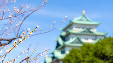 Explore the Nagoya Castle & Surroundings with a Local Guide in Nagoya - Nagoya_Castle_MAIN