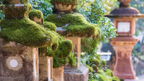 Highlights & Hidden Gems of Nara in Nara - Nara_HHG