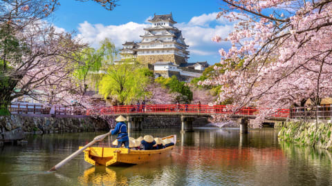 Withlocals Your Way! - Osaka City Tour in Osaka - AdobeStock_262803806