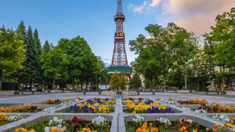 Highlights & Hidden Gems of Sapporo in Sapporo - Sapporo_HHG6