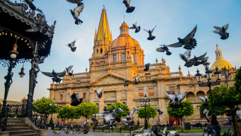Highlights & Hidden Gems of Guadalajara in Guadalajara - Guadalajara_HHG5