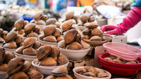 A Taste of Busan: Fishing Heritage & Seafood Tour in Busan - Busan_Fishing_Heritage_MAIN