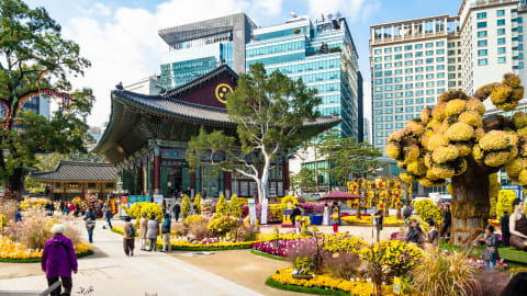 Full Coverage Seoul City Tour in Seoul - AdobeStock_369036456_Editorial_Use_Only