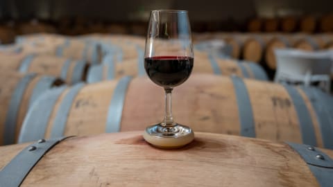 Gastronomic Adventure: Journey from Bilbao to Rioja with Two Winery Stops in Bilbao - Rioja_tour_MAIN
