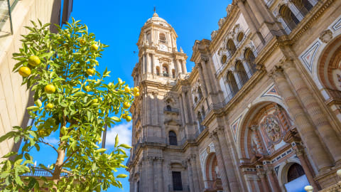 Highlights & Hidden Gems of Malaga in Malaga - Malaga_HHG_MAIN