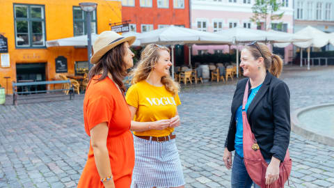 City Kickstart Tour: Stockholm in Stockholm - ORG_-_Highlights_Hidden_Gems_tour_-_Copenhagen_-19