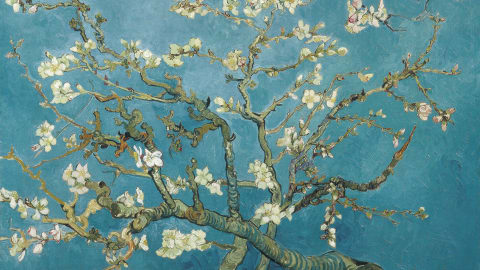 Explore the Van Gogh Museum with a Local Guide in Amsterdam - Van_Gogh_Amsterdam
