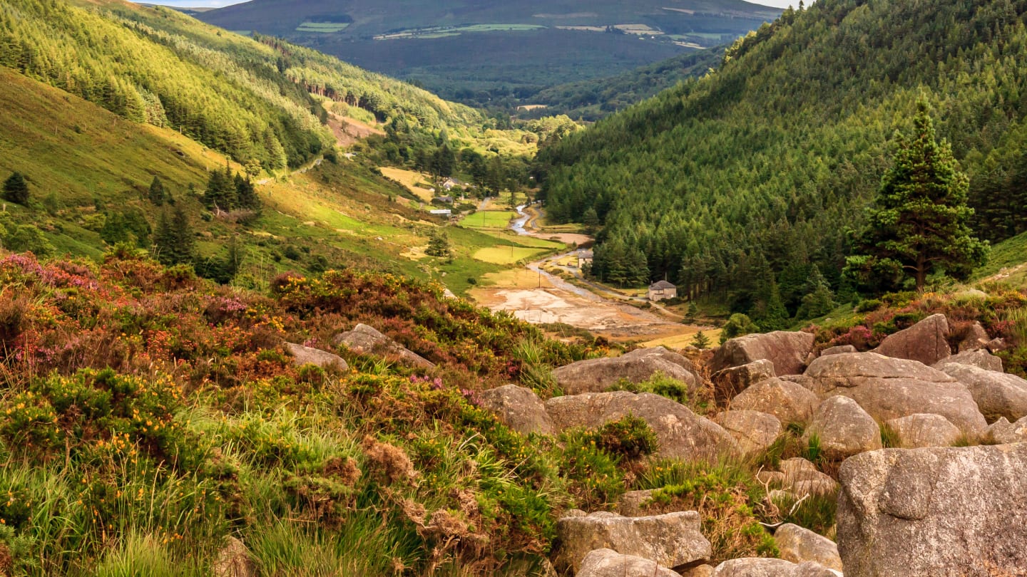 From Dublin: Wicklow Mountains, Glendalough Kilkenny Day Tour