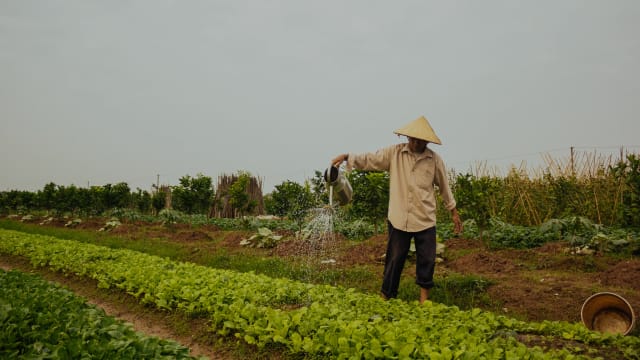 Farm Tour Cooking In Hanoi With Local Family Hanoi Withlocals
