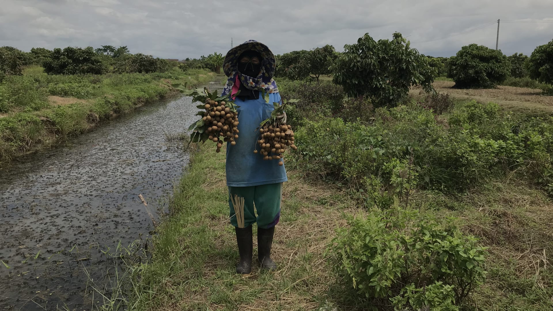 Explore Chiang Mai S Surroundings By Bike Withlocals