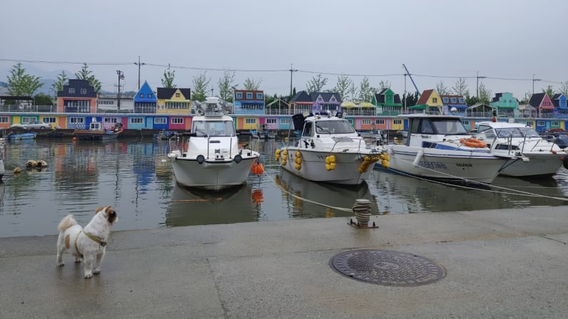 Busan's Coastal Gems: Bunecia, Nakdong River Walk, and Dadaepo Beach ...