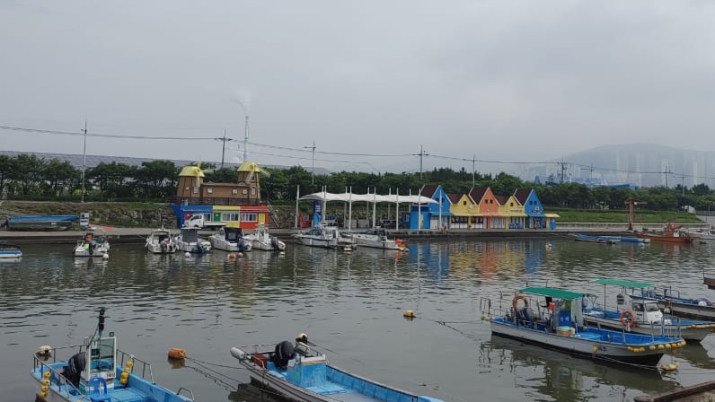 Busan's Coastal Gems: Bunecia, Nakdong River Walk, and Dadaepo Beach ...