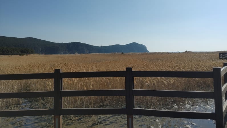 Busan's Coastal Gems: Bunecia, Nakdong River Walk, and Dadaepo Beach ...
