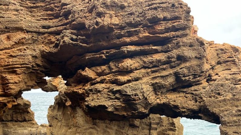 Scaling New Heights: A Hike to National Park Montgo - Withlocals
