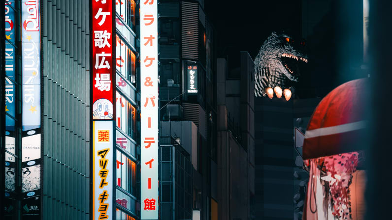Tokyo After Dark in Shinjuku - Withlocals